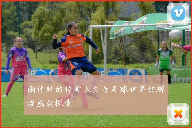 谢什科的传奇人生与足球世界的辉煌成就探索