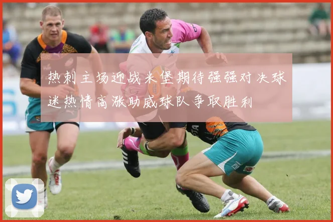 热刺主场迎战米堡期待强强对决球迷热情高涨助威球队争取胜利