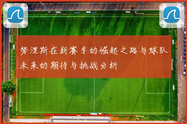 努涅斯在新赛季的崛起之路与球队未来的期待与挑战分析