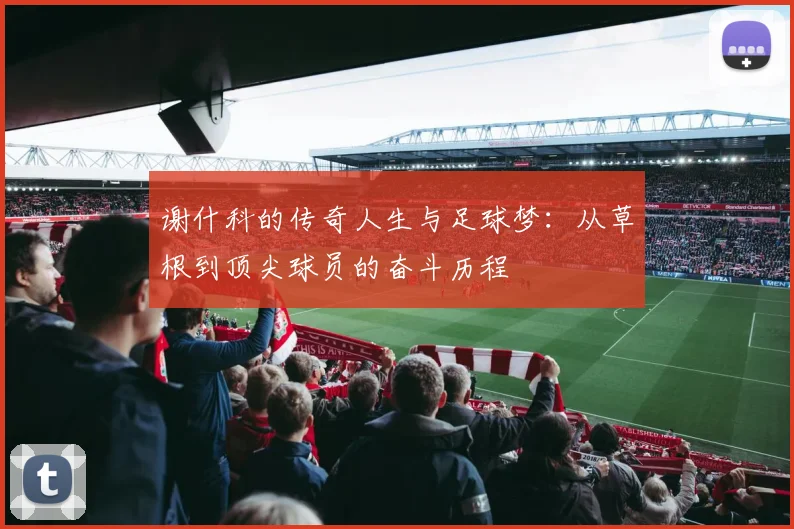 谢什科的传奇人生与足球梦：从草根到顶尖球员的奋斗历程