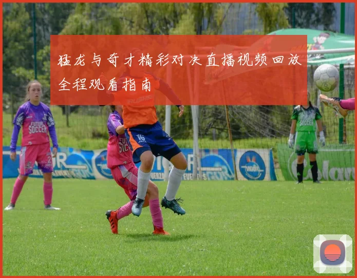猛龙与奇才精彩对决直播视频回放全程观看指南